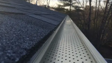 Why Leaf Guards Are Essential for Gutters